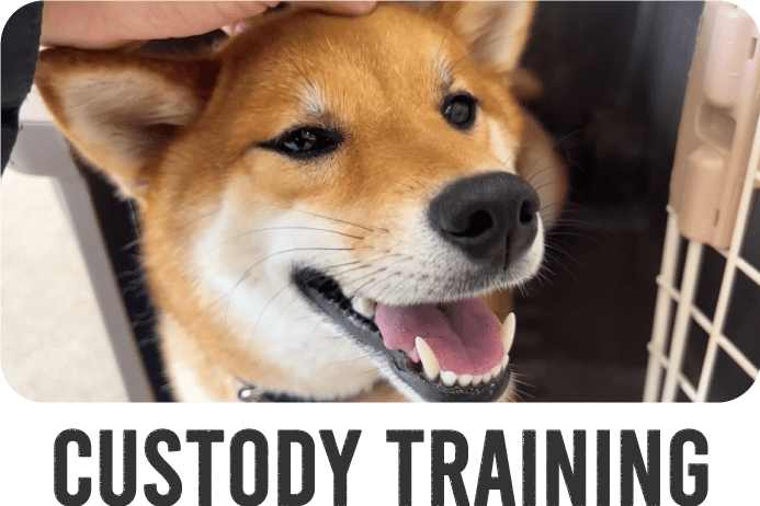 custody training
