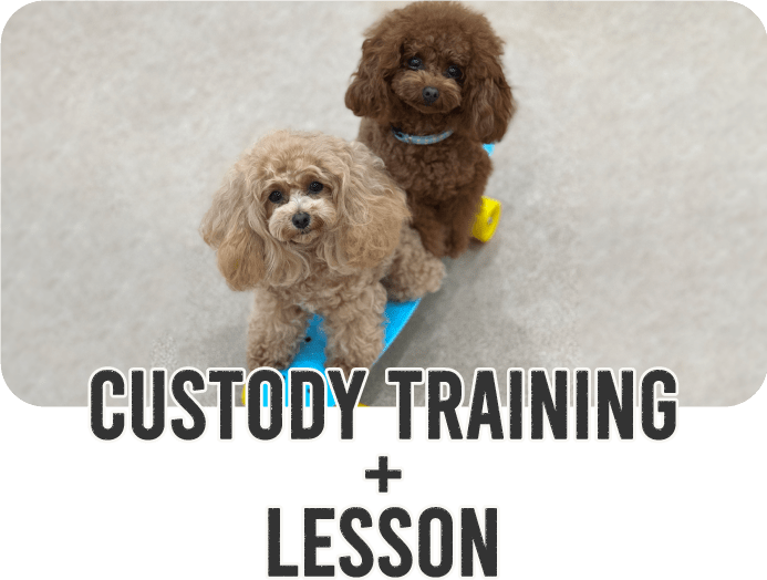 custody training+private lesson