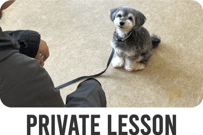 private lesson